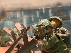 -济州岛泰迪熊博物馆