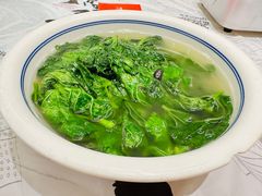 水煮苋菜-壹盏灯(蚂蚁工房店)