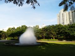-缘生态云南菜·野生菌庭院餐厅(华侨城店)