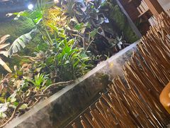 -玖壹咖啡(临河街店)