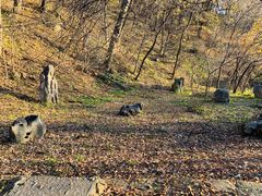 -吉林市朱雀山国家森林公园