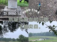 -南海子公园