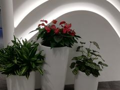 -珀莱雅总部大楼