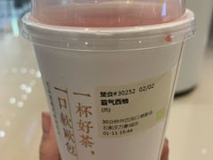 -奈雪的茶(石家庄万象城店)