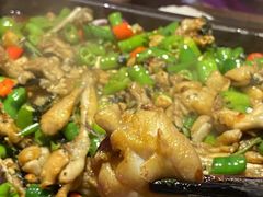 -蛙来哒(太阳新天地店)