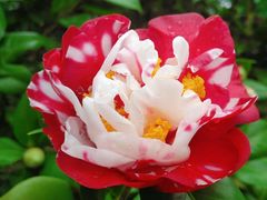 -人民公园(罗湖区)