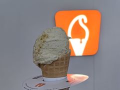 -野人先生现做冰淇淋(北京王府井东方新天地店)