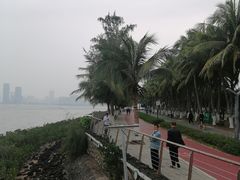 -万绿园