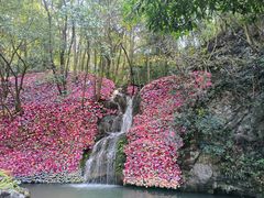 -灵栖洞天