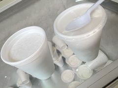 -洪馨椰子