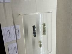 -旅顺博物馆