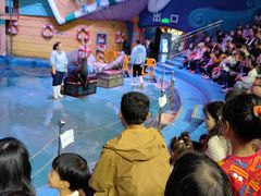 -烟台海昌鲸鲨海洋公园