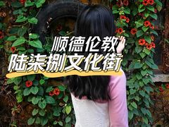 -伦教678文化街