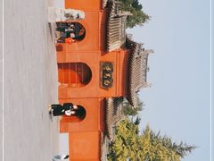 -洛阳白马寺