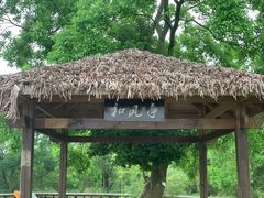 -会仙湿地