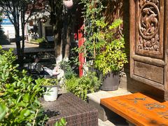 -蓝壁虎咖啡酒馆