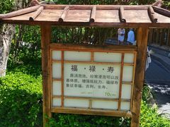 -麦积山温泉