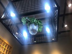 -捞鱼儿·酸菜小鱼(双塔西街店)