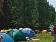 -黄海国家森林公园