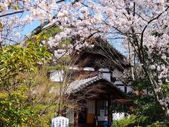 -清凉寺