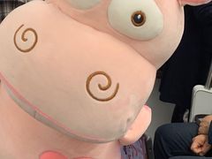 -PAWTOY爪e玩偶店(天兴罗斯福店)