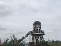 -上海长兴岛郊野公园