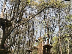 -WeLope紫金山探险公园