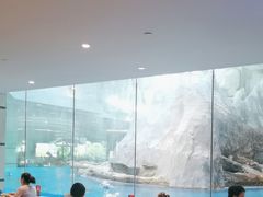 -帝企鹅自助餐厅•儿童岛•真企鹅(长隆企鹅酒店)