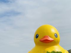-深圳人才公园