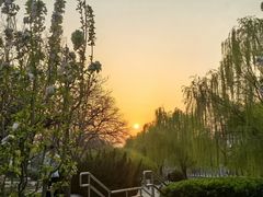 -元大都城垣遗址公园