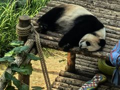 -大连森林动物园