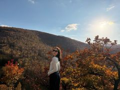 -塞罕坝国家级自然保护区