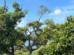 -杭州西湖柳莺里酒店·闻莺厅