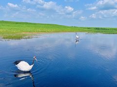 -黑龙江扎龙生态旅游区