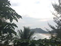 -广东惠东海龟国家级自然保护区