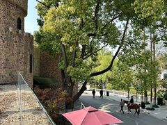 -J Create城市露营咖啡·简餐·宠物(上海动物园店)