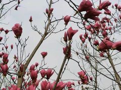 -白鹭湾湿地公园