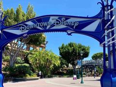 -奥兰多迪士尼动物王国乐园