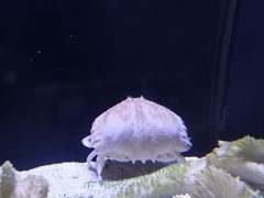 -海合安天津极地海洋公园