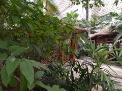 -龙达温泉生态城