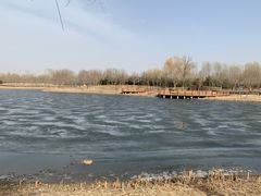 -东郊湿地公园
