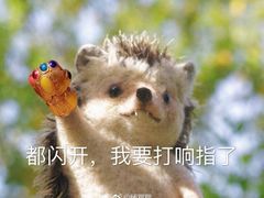 -星美国际影商城(虹口店)