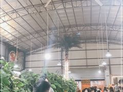 -石岐乳鸽村(桥观坊南四巷店)
