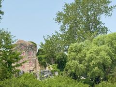 -秦皇岛野生动物园