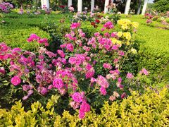 -郑州植物园