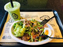 -油梨树AVOCADO TREE(顺义新国展店)