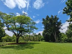 -中国科学院西双版纳热带植物园