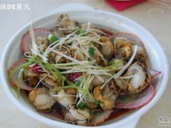葱油扇贝，没有蒜蓉的好吃哦~~-海岛渔村大酒店(云霄路店)