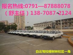-白云驾校(樟树林校区)