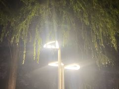 -滨湖塘西河公园